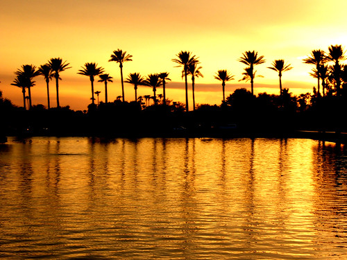 sunset arizona palms gold golden duck pond ducks palm palmtrees rays goodyear westvalley litchfieldpark