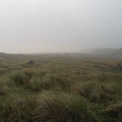 See the sea? Nope! It was a bit foggy when we walked in the sand dunes down to the sea this morning. 😐 Lovely calm morning though. 😊