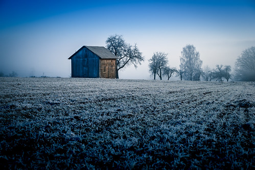 frosty frostig kalt morgens cold morning blue nebel barn trees sky focus country landscape germany deutschlad mist