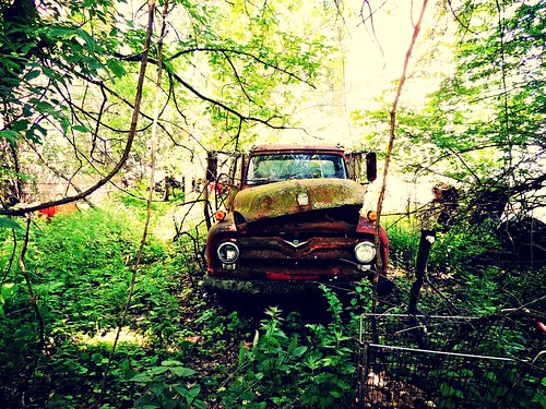 ford abandoned truck vintage illinois rust decay forgotten jungle discarded ruraldecay abandonedvehicle illinoisabandonment junkersparadise truckthursday