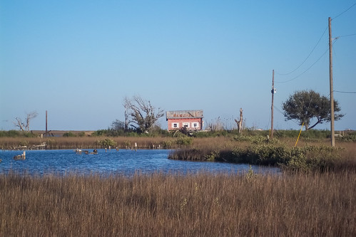 louisiana coastal wetlands marsh camps gulfcoast fourchon lafourcheparish portfourchon ilobsterit