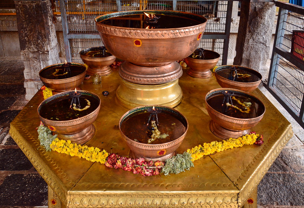 India - Tamil Nadu - Vellore - Jalakantesvara Temple - 58
