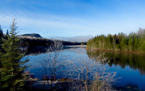 water forest pond adirondacks shore bigmoose buckpond