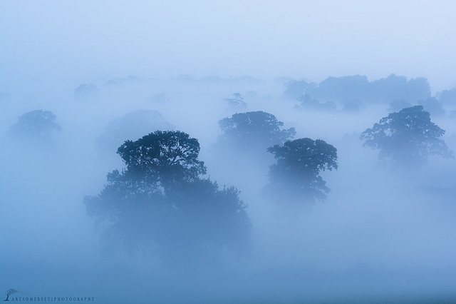 Fog over Somerset Levels