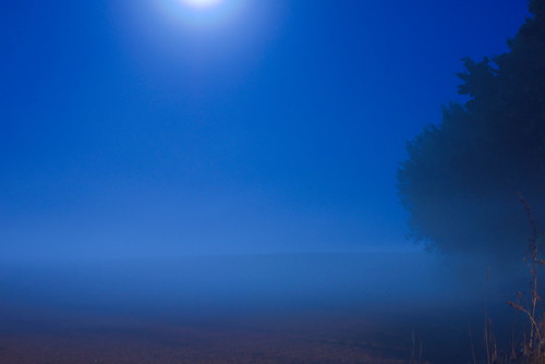 trees moon mist fog night dark landscape mond nebel nacht outdoor landschaft bäume dunkel drausen mecklenburgischeseenplatte petersdorf