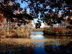 Wantagh - Twin Lakes Preserve - Autumn (21)