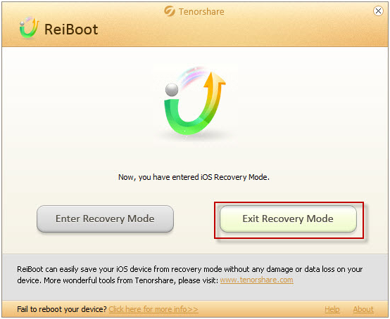 ReiBoot Pro 9.3.1.0 instal the last version for ipod