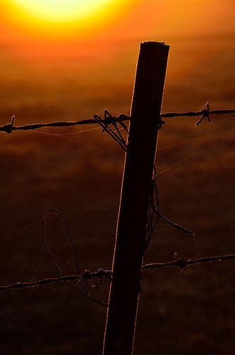 oklahoma rural sunrise fence dawn nikon frost barbedwire daybreak rogerscounty d7000