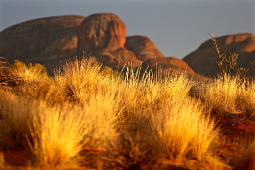 travel nature sunrise canon nt australia canon5d katatjuta olgas northernterritory ulurukatatjutanationalpark