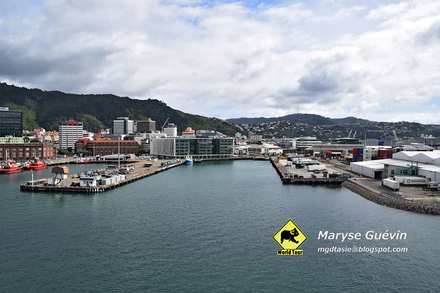 Ferry Picton-Wellington