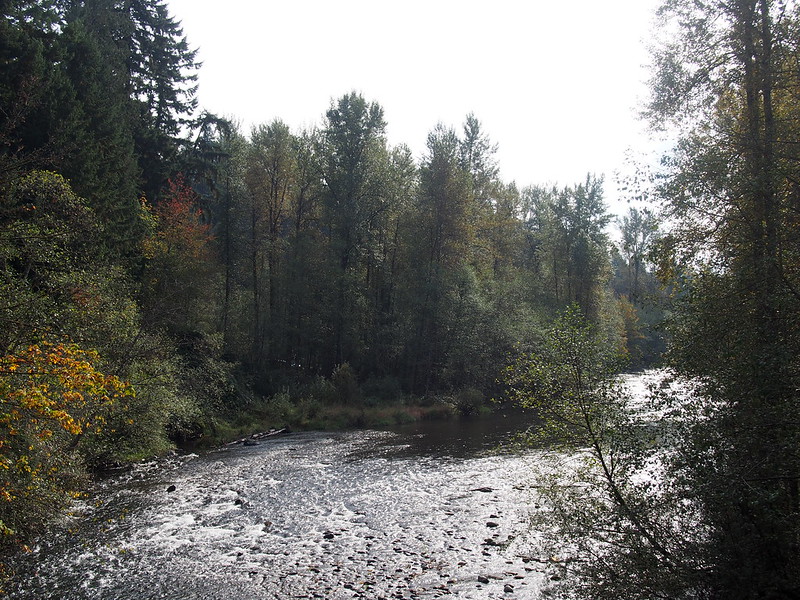 Cedar River