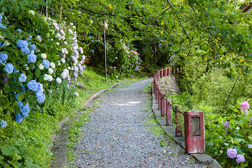 park flowers japan canon path ofunato 1755mm 2013 infinitedivide jamespatrus