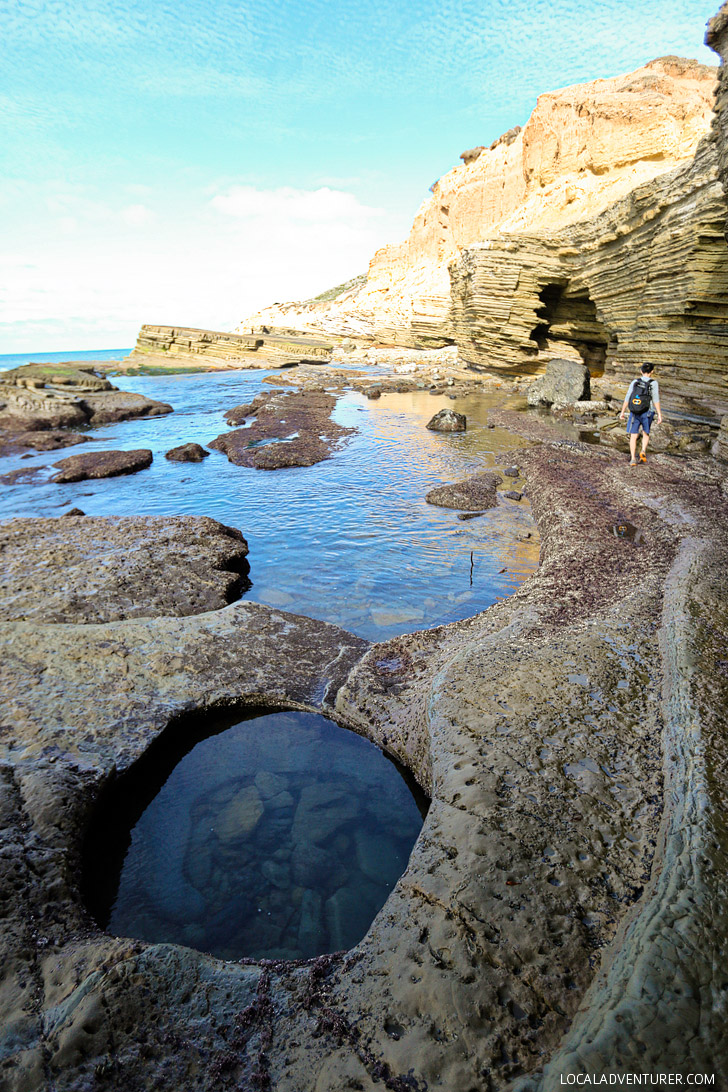 Tide Pooling at Cabrillo National Monument San Diego.