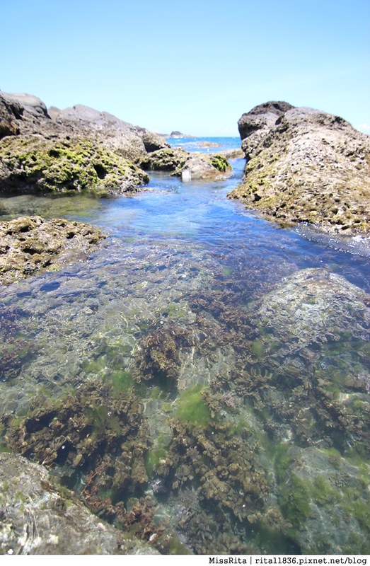 《遊記》台東富岡‧東部的奇岩景觀「小野柳」，巨大的珊瑚礁群不時看到小魚們悠遊地穿梭著★近富岡漁港