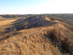 Loess Hills State Forest, Iowa