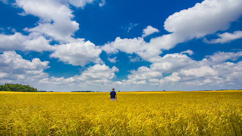 clouds farming kansas wheatfield greatbend