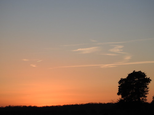 sunset silhouette orange glow field farm farmland green springs virginia louisa county country scenery landscape