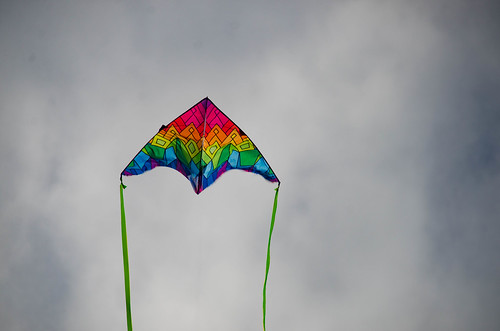 Kite Flying at Avalon Beach-003