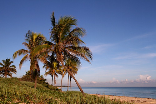 beach sunrise canon havana cuba playa amanecer palmtree plage palmera palmier leverdesoleil cocotier lahabana orto salidadelsol cocotero monbaillu santamaríadelmar lahavane eos7d