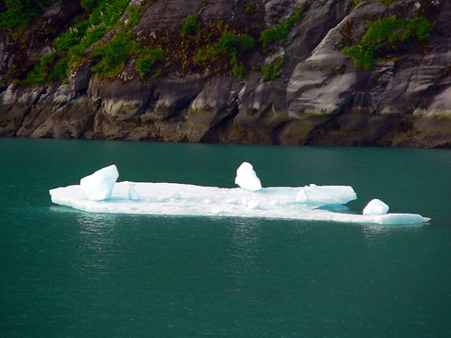 cruise water alaska geotagged arm princess tracy fjord tracyarmfjord sunprincess geolat579198333333333 geolon133532666666667