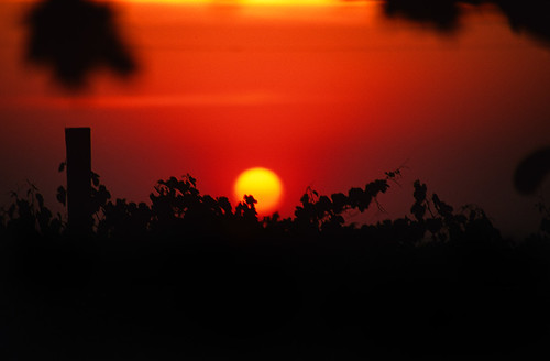 sunset washington vineyard velvia abeja wallawalla