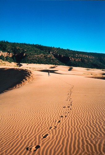 pink film geotagged freedom utah sand dunes footprints geo:lat=37024347 geo:lon=112802553