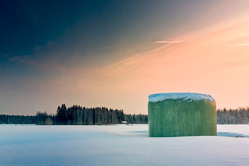 500px winter copy space europe finland matkaniva oulainen outdoors tranquil scene agriculture bale clouds coldness countryside fields landscape morning nature no people orange roll rural sky snow solitude sun sunrise travel tree teamcanon