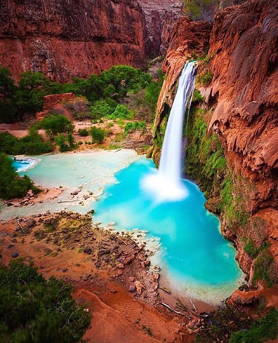 Follow @TravLink for the most amazing travel and nature destinations! @TravLink Havasu Falls, Arizona | Photography by @calsnape by #Nature4Picture Download more at : http://bit.ly/1MvSF0Q