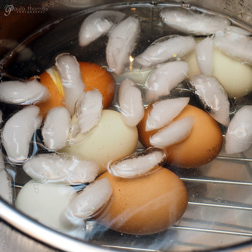 Egg Ice Bath