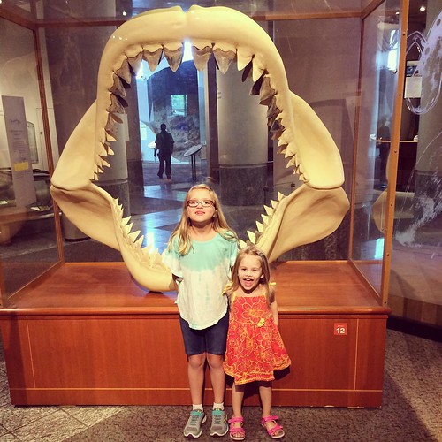Science museum. Have to pose with the shark jaw.