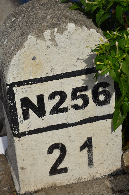 N256