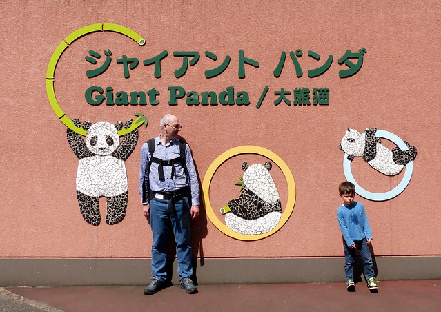 Giant Panda torture