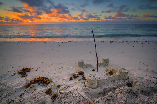 park castle beach sunrise honda keys sand weed state florida bahia sandcastle hdr sargasso sandspur