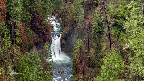oregon waterfall south fork falls lower cascadia estacada clackamas lowersouthforkclackamasfalls