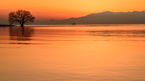 米原市 滋賀県 japan 琵琶湖 湖 lake 夕景 sunset