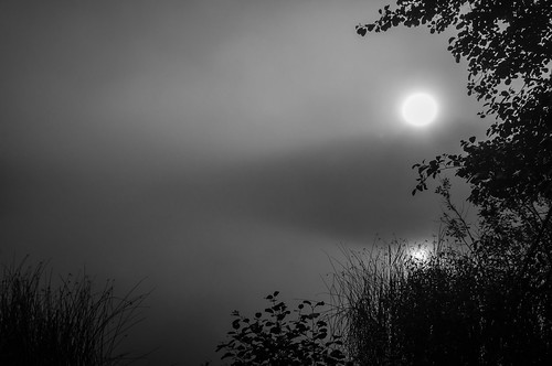 fog foggy lake landscape mist misty morning reflections sunrise water bw homepage