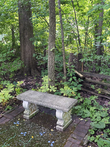 forest bench muncie minnetrista
