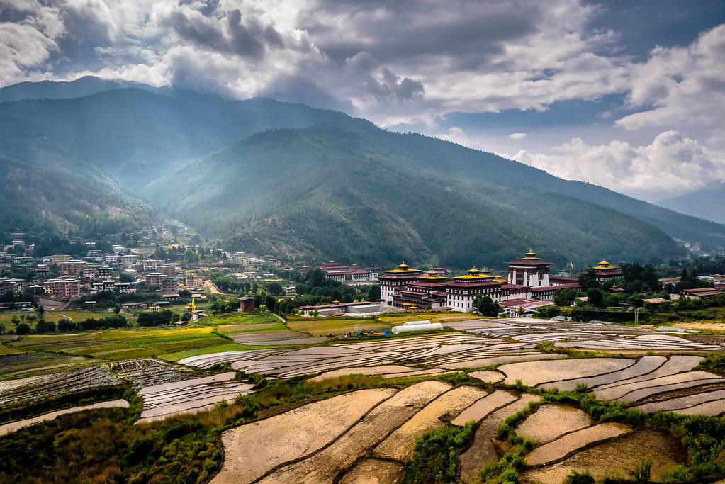 Rizières devant la forteresse de Tashicho Dzong à Thimphu