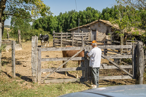 minasgerais brasil tiere kuh br natur brasilien orte zaun pferde bauernhof fazenda formiga rinder gatter ortschaften länder fazendavelha