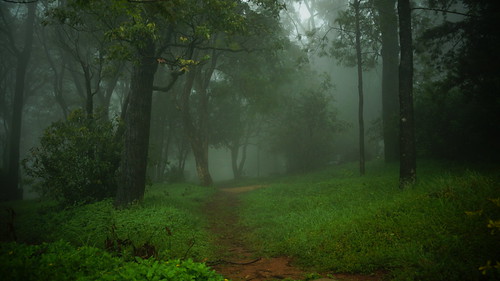 india green fog bangalore karnataka nandhihills nandihills a58 theyellows sonyslta58
