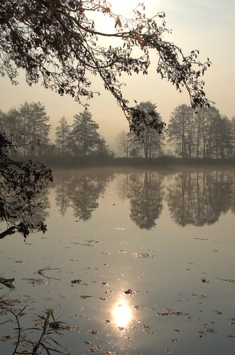 morning autumn mist lake landscape bayern bavaria see nebel herbst lower idyll landschaft morgen idylle niederbayern herbststimmung morgenstimmung deggendorf hengersberg