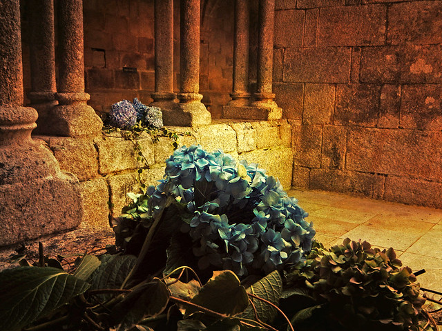 Wedding Flowers Draped over the Stone Walls of the Restored Monastery at the Sacred Shore of Northern Spain