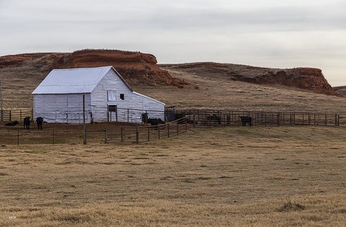 oklahoma barn fence cattle farm pasture