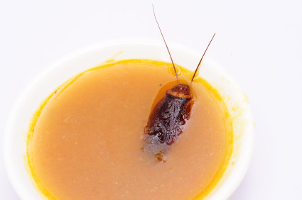Roach_Soup