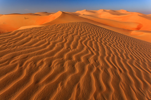 Rub al Khali Desert - Abu Dhabi