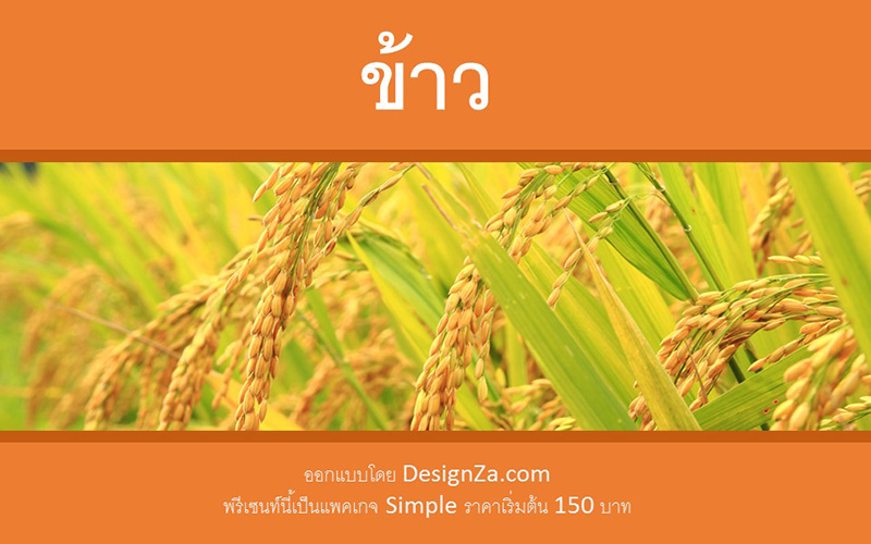 PowerPoint Template Rice