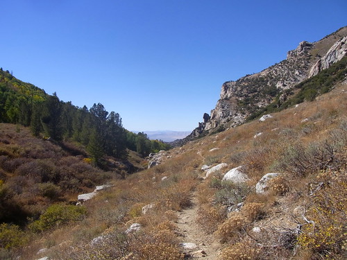 landscape trail