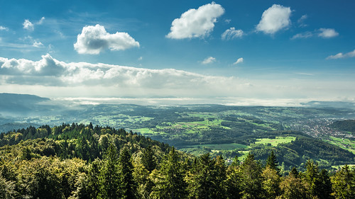 deutschland wiesen wald schwarzwald blackforest badenwürttemberg schopfheim wiesental b317 hohemöhr möhrenturm