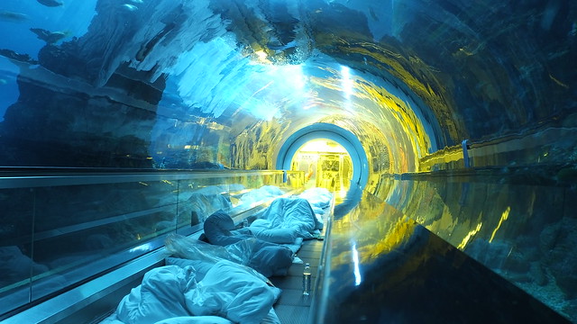 50海生館--睡醒時的海底隧道_07