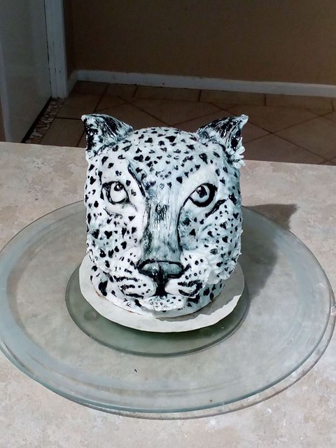 Lovely Leopard by Michelle Jubb-Peni of Un-Boxed Cakes